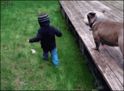 tumblr_nu6otkM6Bw1tlb56zo1_400.gif