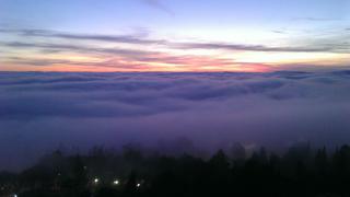 IMAG0826.jpg