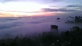 IMAG0825.jpg