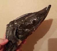 20170204_222833.jpg