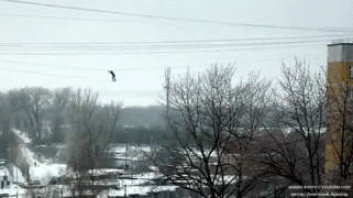 1485929653156271374.gif