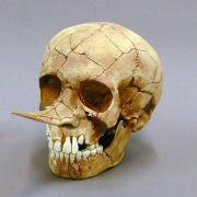 0_1db966_5fc34789_orig.jpg