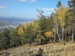 20160925_124659.jpg