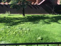 2016-09-02 13-50-46.JPG