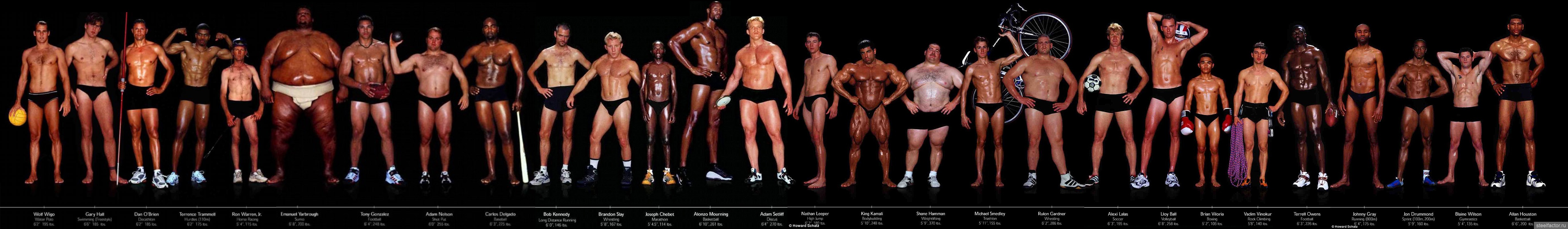 Нижнее 90 у мужчины. Мужские фигуры разных видов спорта. Разные фигуры мужчин. Разные телосложения парней. Разные типы фигур мужчин.