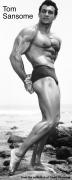 SansoneTom_big.jpg
