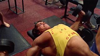 arnold-blueprint-mass-training-1-graphics.jpg