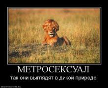 189377_metroseksual1-420x344.jpg
