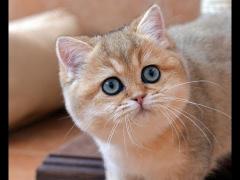 5B77C2F0-1626-415A-8DAE-2D4882C68932.jpeg