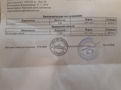 20190225_145127.jpg