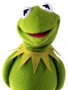 kermit.jpg