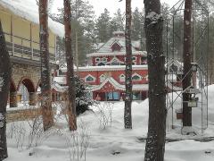 IMG_20190222_091036.jpg