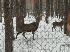 IMG_20190222_090720.jpg