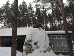 IMG_20190222_090509.jpg