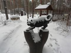 IMG_20190222_091058.jpg