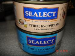 DSC03420.JPG