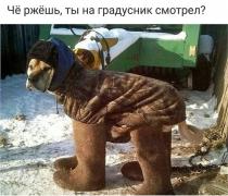 Омск такой Омск.jpg