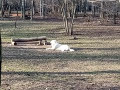 IMG_20200204_154029.jpg