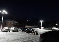 IMG_20200208_181836.jpg