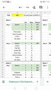 Screenshot_20200204_072018_com.google.android.apps.docs.editors.sheets.jpg