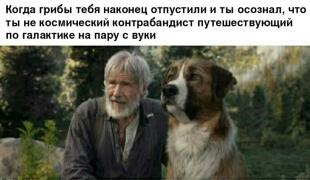 SW-Other-Звездные-Войны-фэндомы-7225755.jpeg
