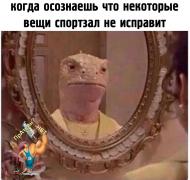 d3Rq06ZSdmQ.jpg
