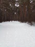 20220222_100541.jpg