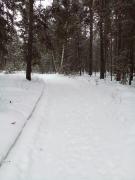 20220222_101153.jpg