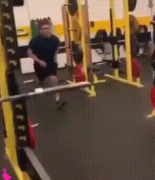 zz.gif