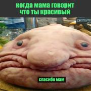 elftrxUji_I.jpg