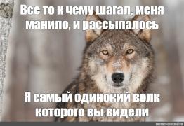 267c0e1e3aa3a93875cde3a353f35233.jpg