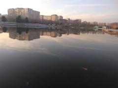 IMG_20230204_172413978.jpg