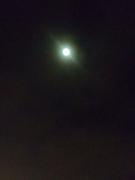 IMG_20230205_204825860.jpg