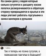 F27BD25A-8285-493D-B611-B2C14C2816E1.jpeg