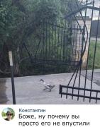 B7C0C7EE-2CDB-4E54-A502-42B2EA948D00.jpeg