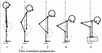 deadlift-3-romanian.gif