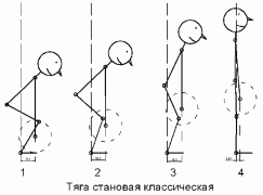 deadlift-1-classic.gif