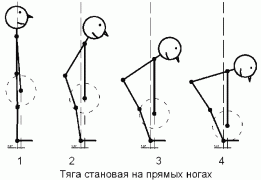 deadlift-2-straight.gif