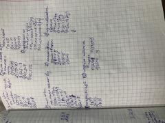 IMG_8627.jpeg