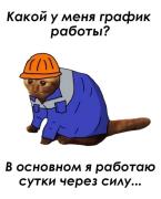 IMG_20250205_095932_449.jpg
