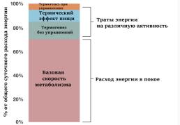HiAevaiataA.jpg