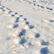52655921_1538871899578460_1175766663287537664_n.jpg
