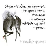IMG_7005.jpeg