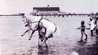 Засс выносит лошадь из моря.jpg