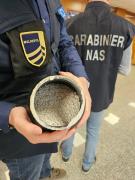 2026-02-28 13.10.08.jpg