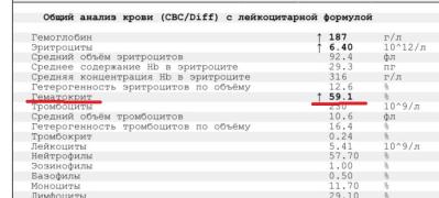 Гем.jpg