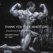 download (29) IG.jpg