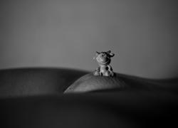 bw01.jpg