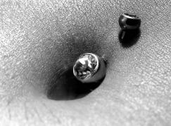 bw04.jpg