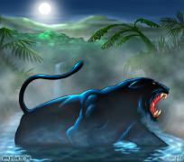 black_panther.jpg